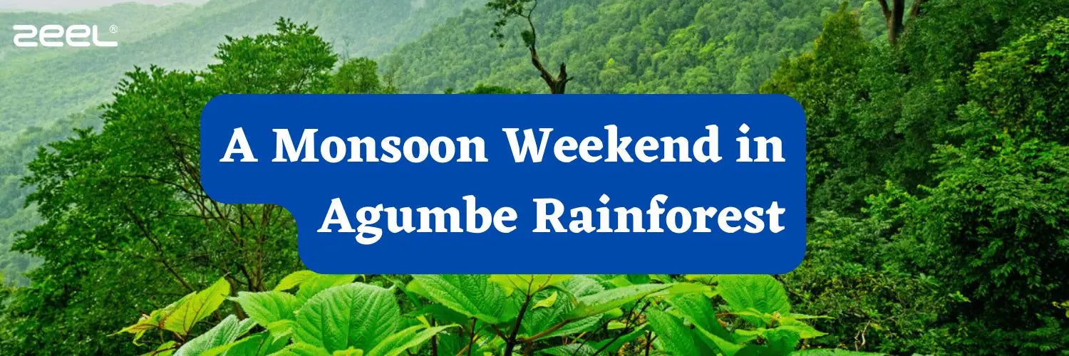 A Monsoon Weekend in Agumbe Rainforest - Zeelretail