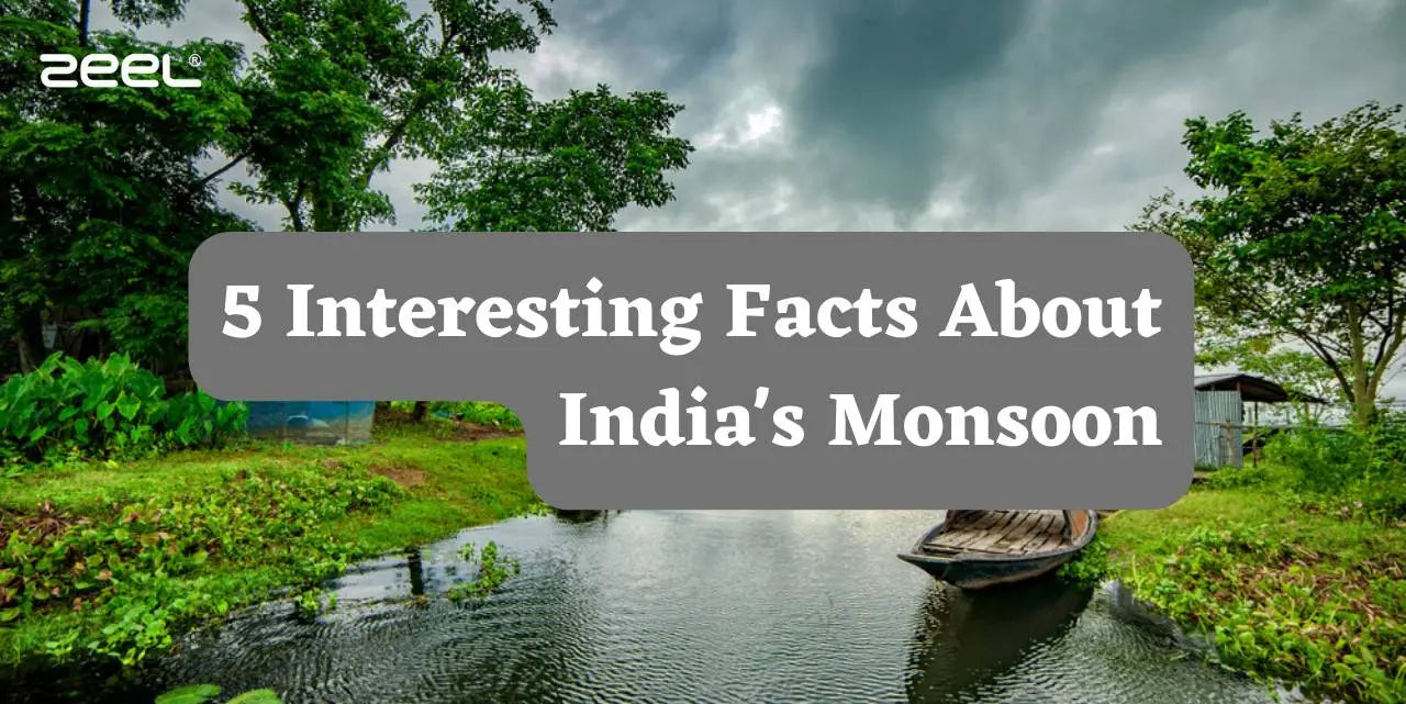 5 Interesting Facts About India's Monsoon - Zeelretail