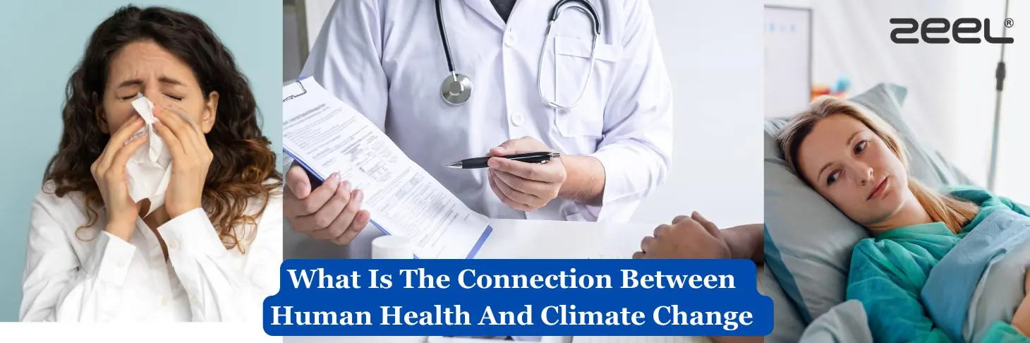 The Relationship Between Human Health and Climate Change - Zeelretail