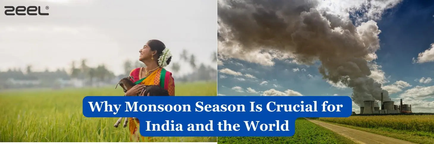 Why Monsoon Season Is Crucial for India and the World - Zeelretail